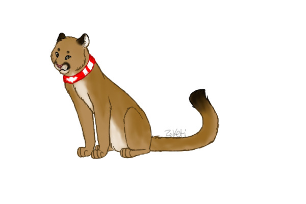 for canadiancatamount