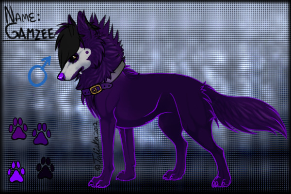 Gamzee as a wolf