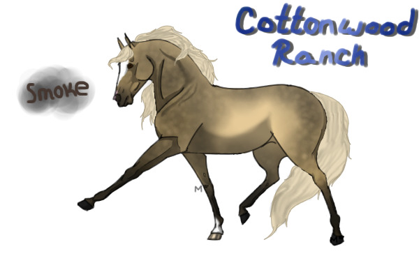 Cottonwood Wild Horse Ranch GA Entry #1