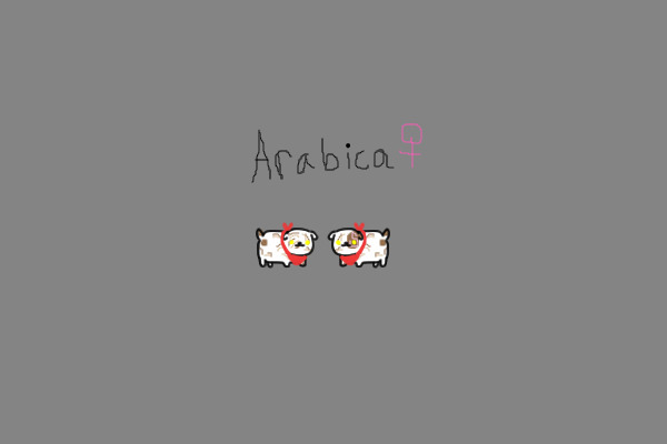 Arabica - The Coffe Nut