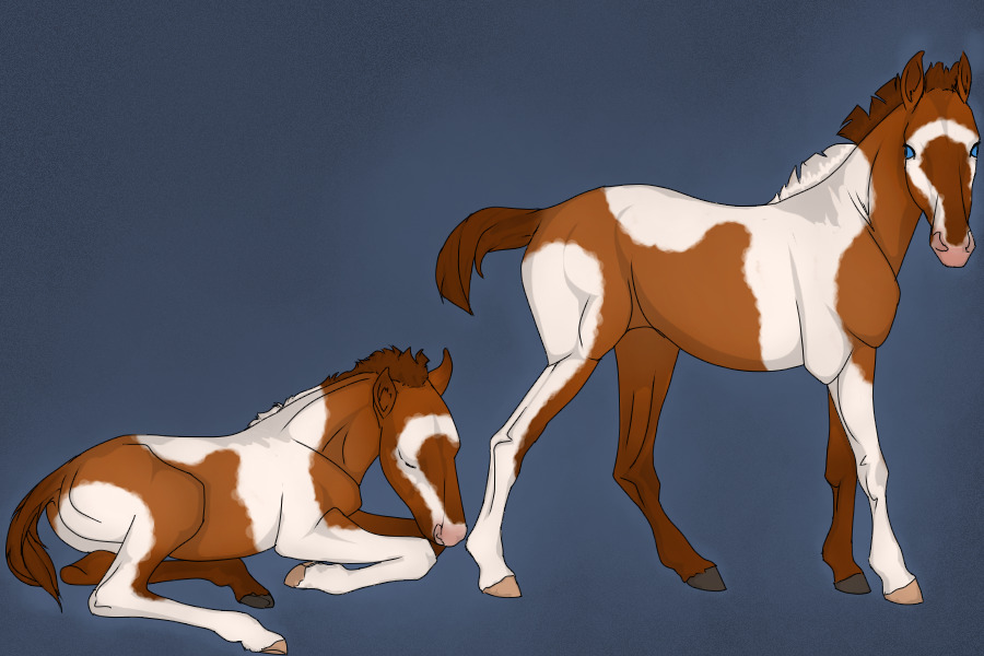 Entry #1: Red Dun Tobiano & Badger face