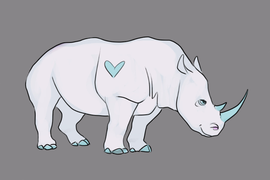 the loving white rhino