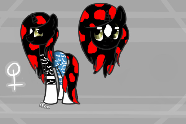 SpotSong's First Custom
