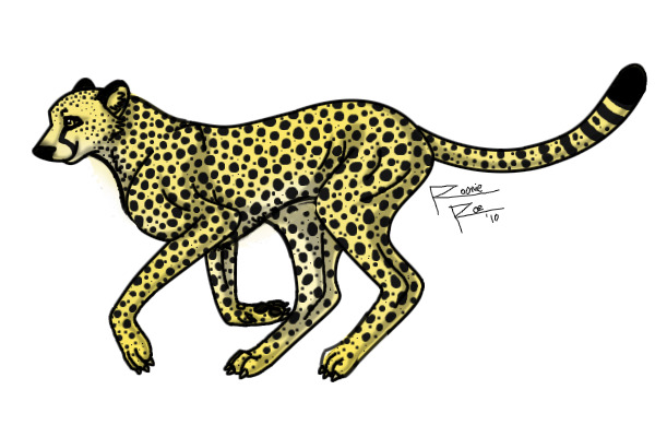 Tach-the cheetah terran