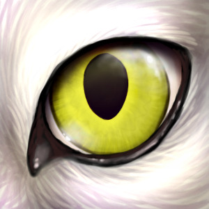 Nagasa eye avatar