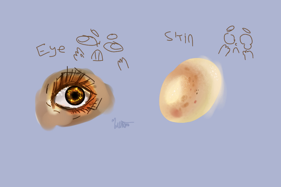 Eye and skin practice.