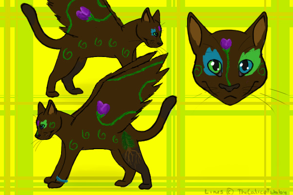 Earth Cat Entry