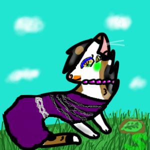 Spottedleaf the Fashion Model