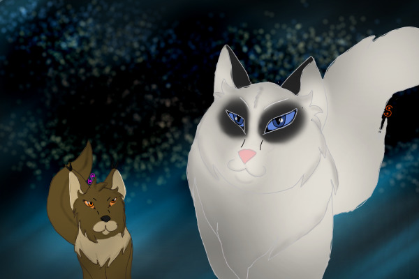 I will watch over you