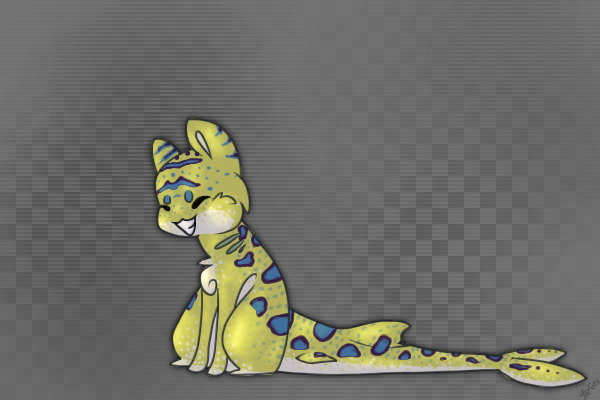 Leopard Shark Baby