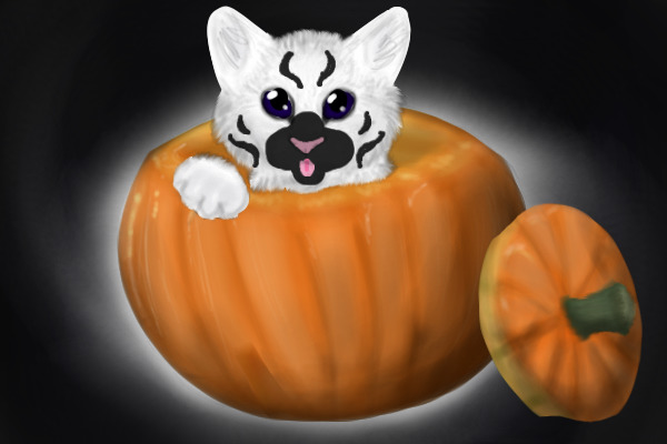 Mortimer in a Pumpkin
