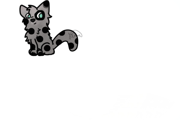 Speckled kitten