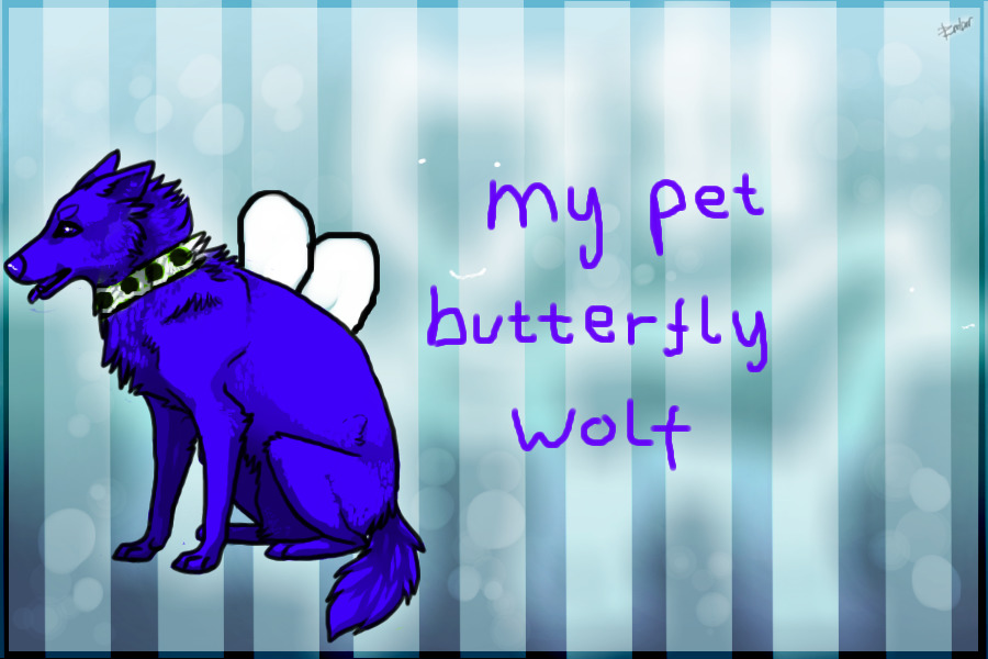 My butterfly wolf