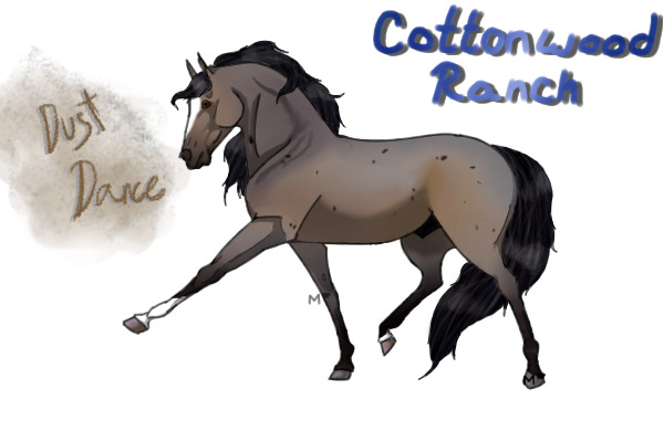 Buckskin Roan Stallion -- "Dancing Among the Dust"
