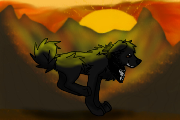 For Foxy...