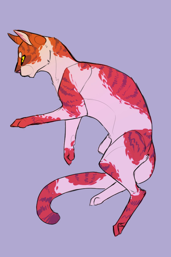 meow