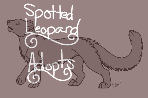 Spotted Leopard Adopts