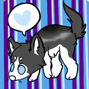 Husky