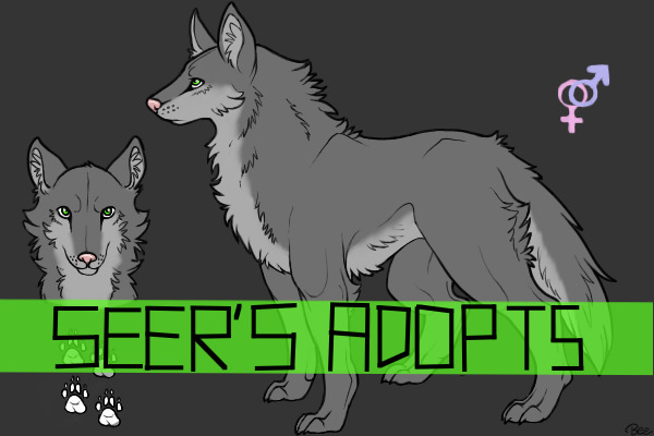 S E E R ' S A D O P T S - wip
