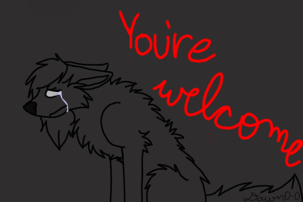 No, Thank You