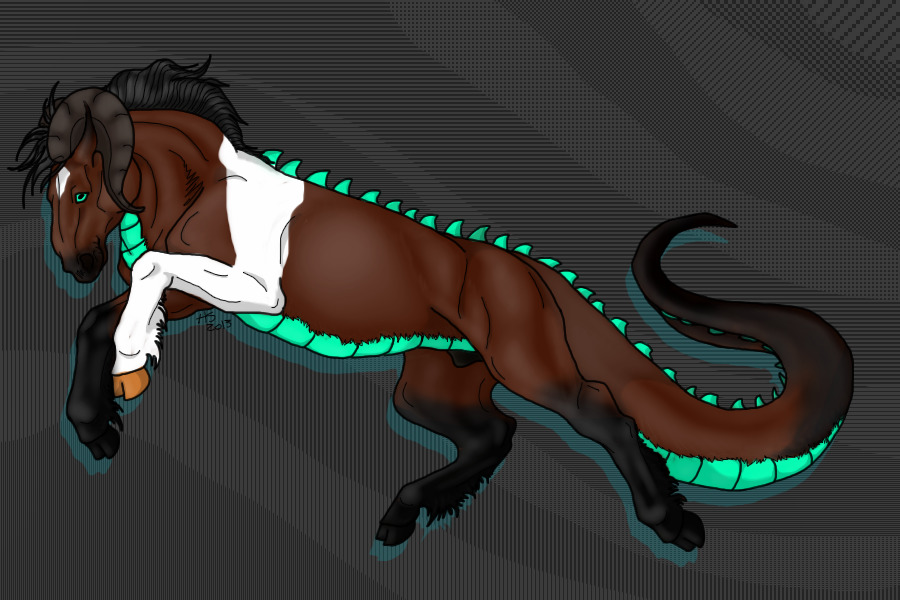 RODEO ANE! Blood Bay Stallion