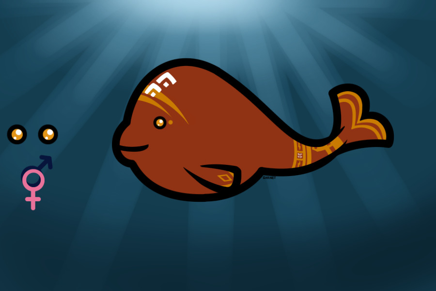 Narball #8 - Journey - Not up for adoption!