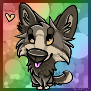 Matthew rainbow avatar~