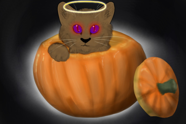 Cute pumpkin kitteh