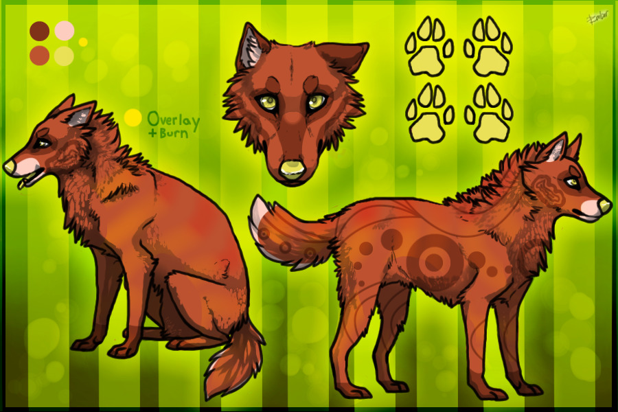 "Oh GOsh not the BARRELS"