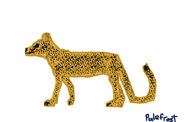 Cheetah