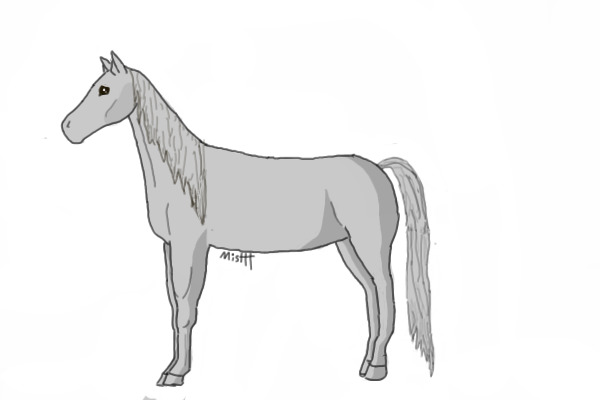 Horse or Pony Lineart