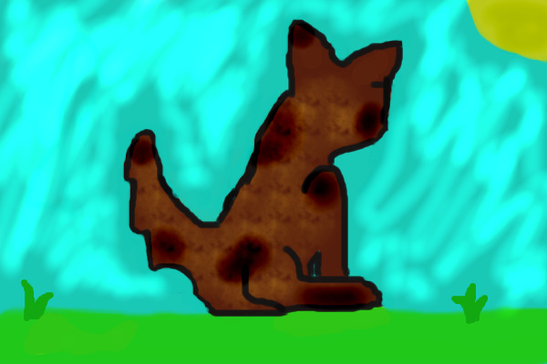 my first drawing