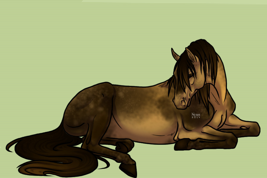 Sooty buckskin mare~ unnamed