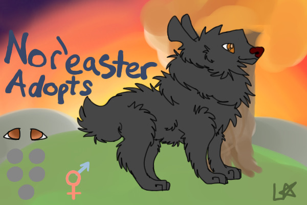Nor'easter Adopts -NO POSTING PLEASE