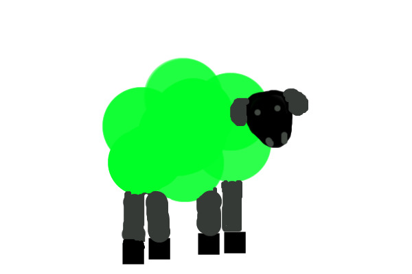 Ignore the sheep!