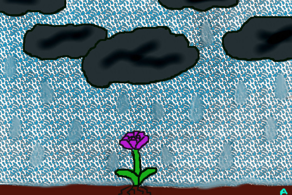 the storm flower