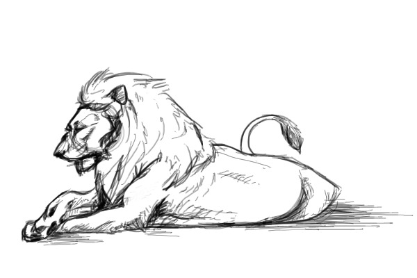 and a lion