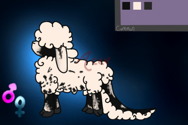 Doeffi Sheep # 3