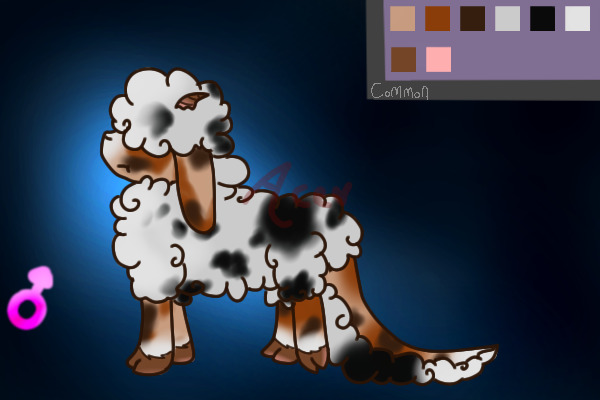 Doeffi Sheep # 5