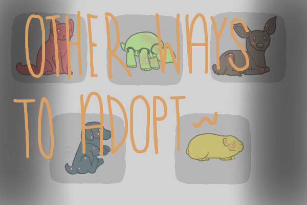 Other Ways To Adopts