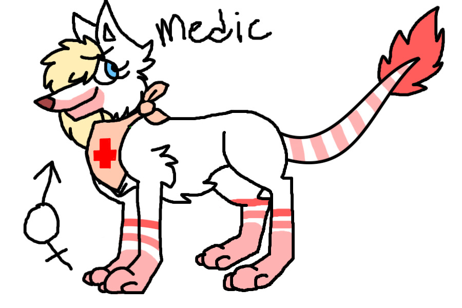 Adopt Theme #2-Medic