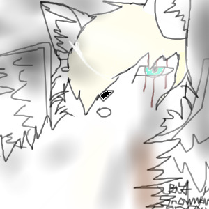chenoa the snowwolfspirit オオカミ