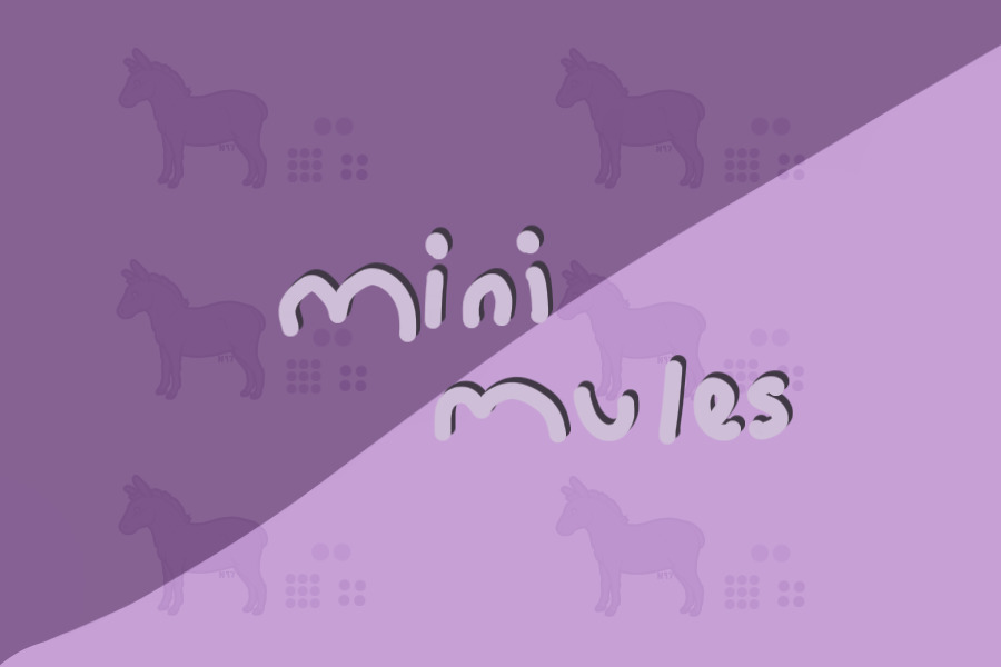 mini mules adoptables - grand opening!