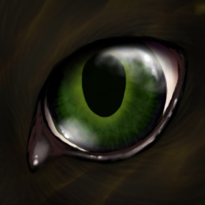 A cats eye example.