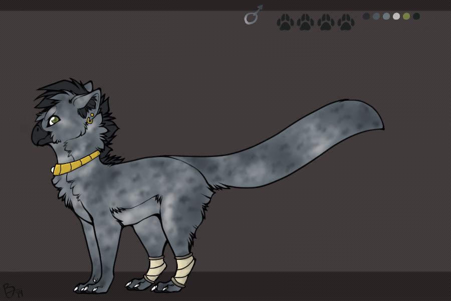 Hasuni - With Accessories