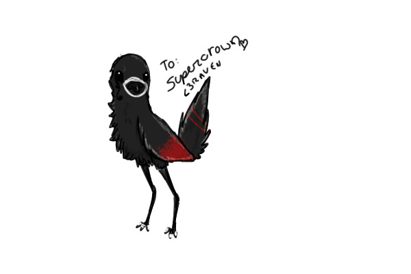 Supercrown's Custom birdie