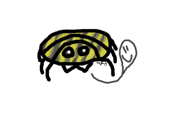 Spider!!