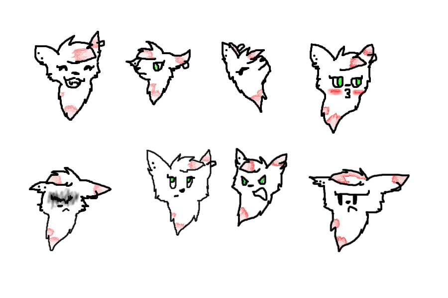 The Eight Expressions of Peach