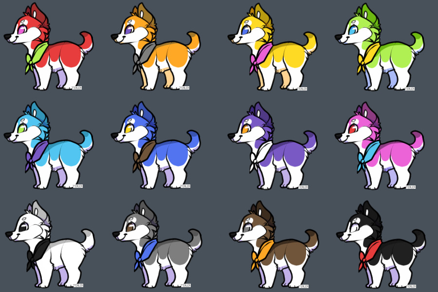 Rainbow Husky pups