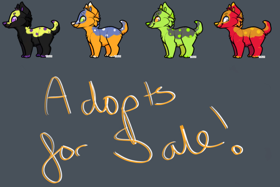 adopts for sale :D